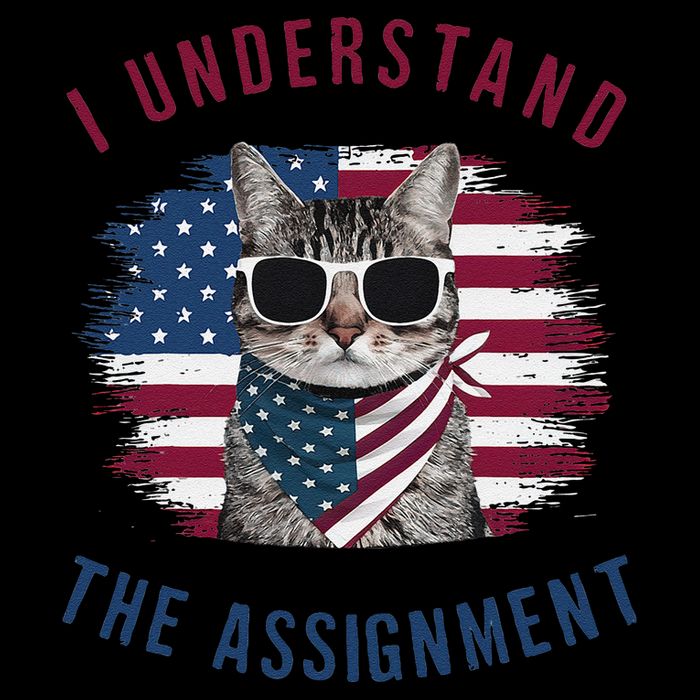 I Understand The Assignment Cat Childless Cat Lady Baby Bodysuit