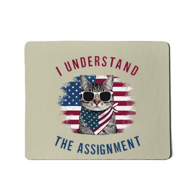 I Understand The Assignment Cat Childless Cat Lady Mousepad