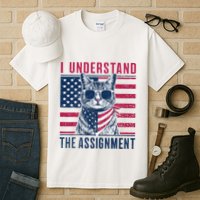 I Understand The Assignment Meme Tall T-Shirt
