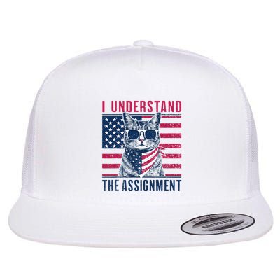 I Understand The Assignment Meme Flat Bill Trucker Hat