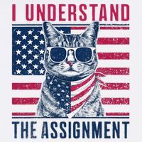 I Understand The Assignment Meme Mousepad