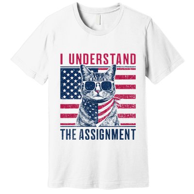 I Understand The Assignment Meme Premium T-Shirt
