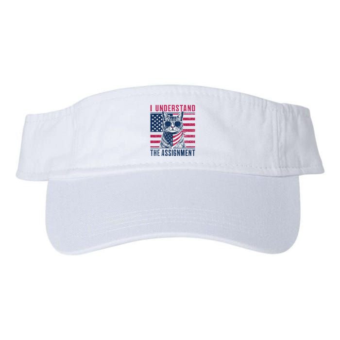 I Understand The Assignment Meme Valucap Bio-Washed Visor