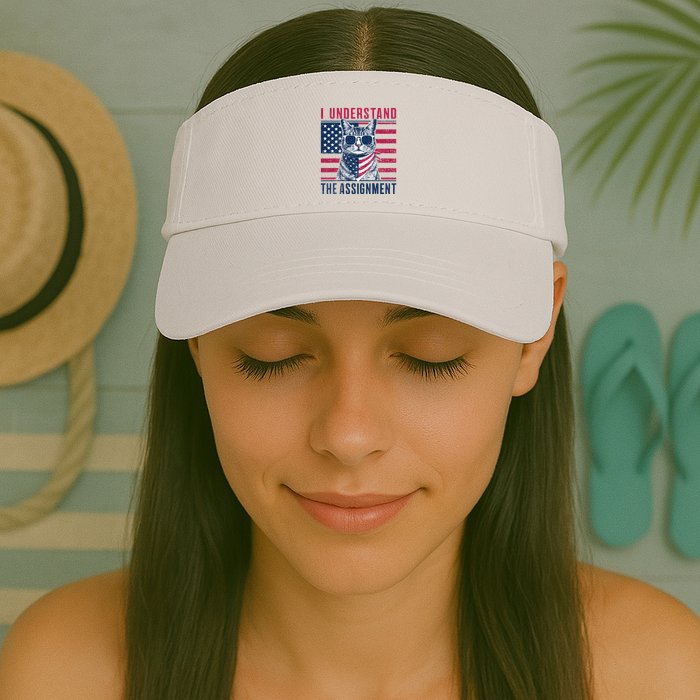 I Understand The Assignment Meme Valucap Bio-Washed Visor