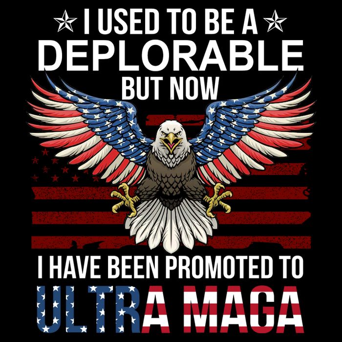 I Used To Be A Deplorable But Now I Have Been Promoted To UltraMAGA Wool Snapback Cap
