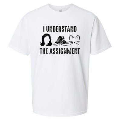 I Understand The Assignment Sueded Cloud Jersey T-Shirt