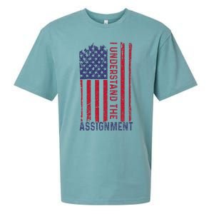 I Understand The Assignment Sueded Cloud Jersey T-Shirt