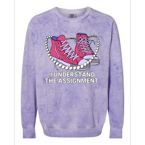 I Understand The Assignment Chucks And Pearls Election 2024 Colorblast Crewneck Sweatshirt