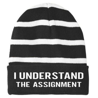 I Understand The Assignment Striped Beanie with Solid Band