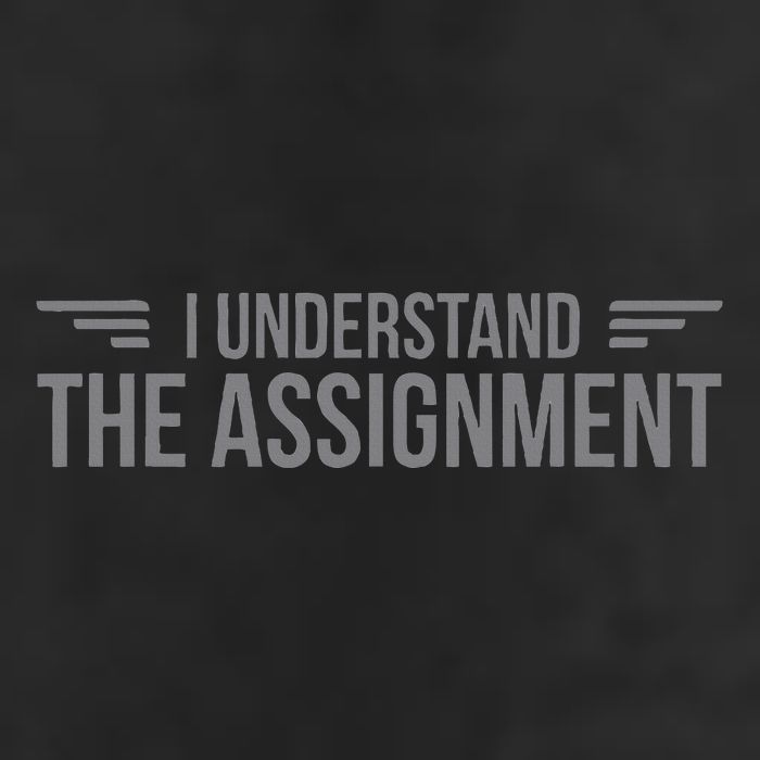 I Understand The Assignment New Memes Cool Comfort Performance Bucket Hat