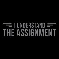 I Understand The Assignment New Memes Flat Bill Trucker Hat