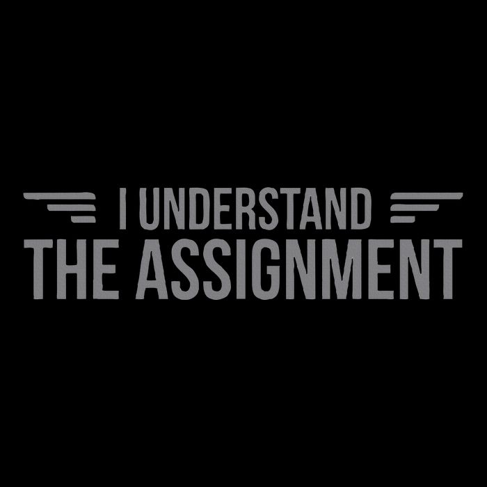 I Understand The Assignment New Memes Flat Bill Trucker Hat