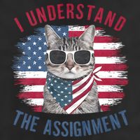 I Understand The Assignment Cat Childless Cat Lady Trucker Hat