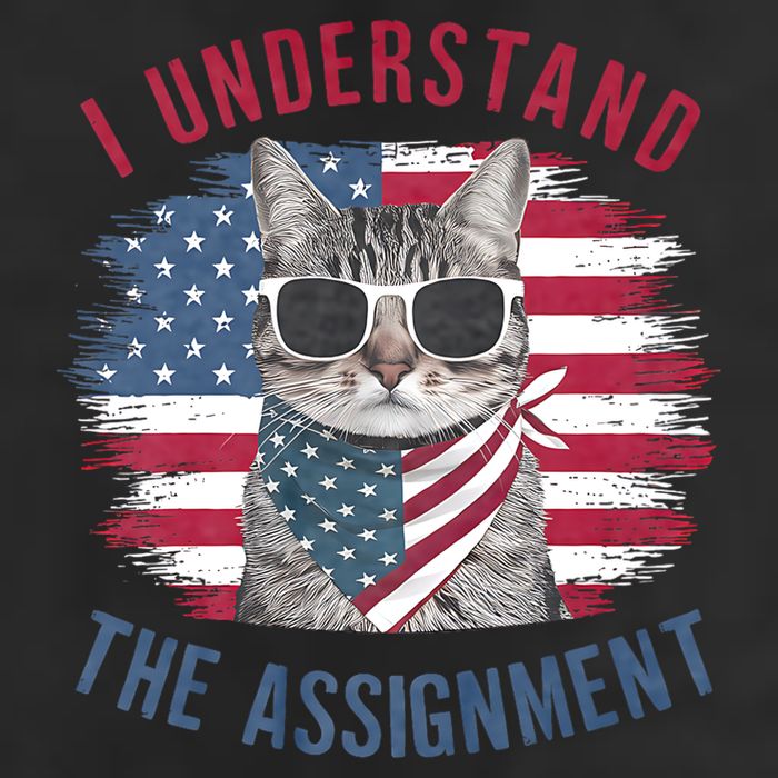 I Understand The Assignment Cat Childless Cat Lady Trucker Hat