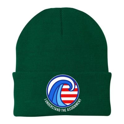 I Understand The Assignment Pro Democrat Harris Walz Knit Cap Winter Beanie