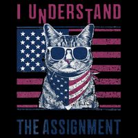 I Understand The Assignment Meme Gift Button