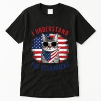 I Understand The Assignment Cat Childless Cat Lady Tall T-Shirt