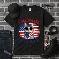 I Understand The Assignment Cat Childless Cat Lady Tall T-Shirt