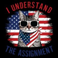 I Understand The Assignment Cat Childless Cat Lady Tall T-Shirt