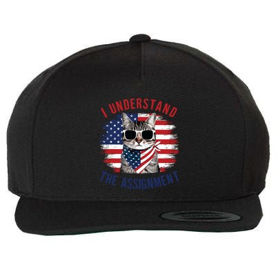 I Understand The Assignment Cat Childless Cat Lady Wool Snapback Cap