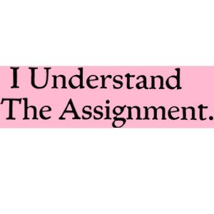 I Understand The Assignment Bumper Sticker