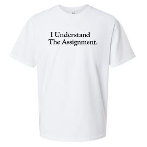 I Understand The Assignment Sueded Cloud Jersey T-Shirt