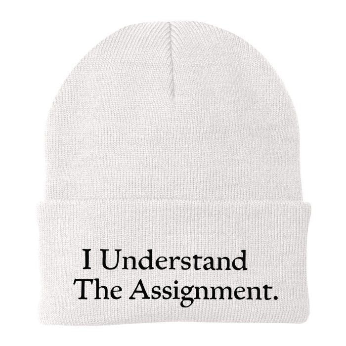 I Understand The Assignment Knit Cap Winter Beanie