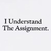 I Understand The Assignment Knit Cap Winter Beanie
