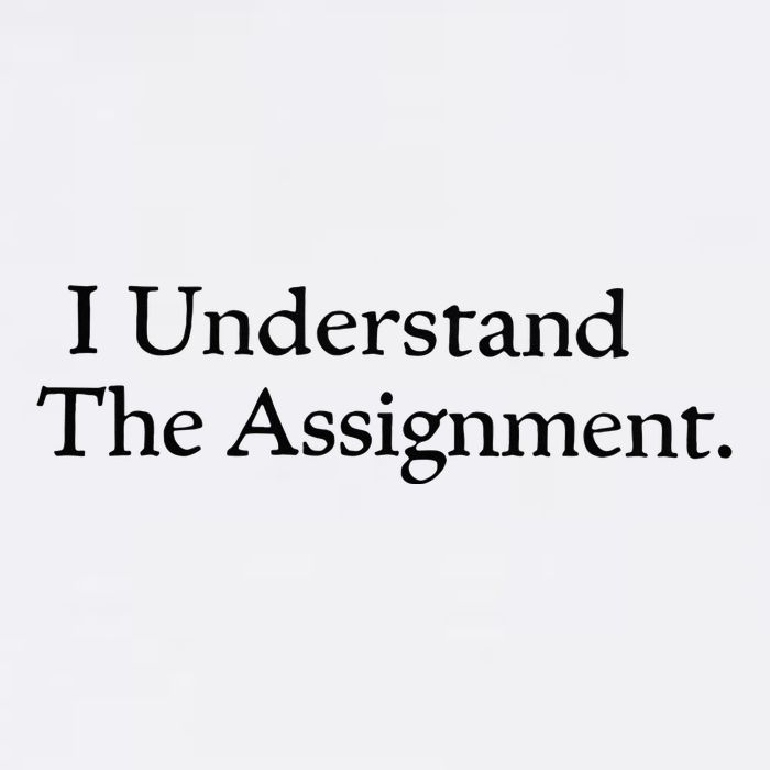 I Understand The Assignment Valucap Bio-Washed Visor