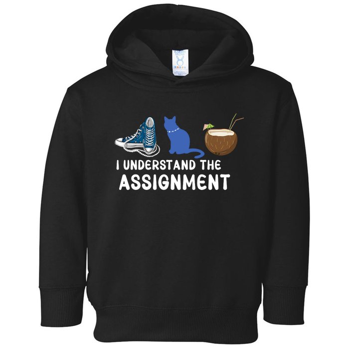 I Understand The Assignment Kamala Harris 2024 Toddler Hoodie