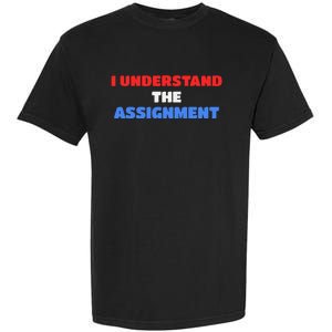 I Understand The Assignment Vote 2024 Democracy Garment-Dyed Heavyweight T-Shirt