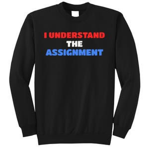 I Understand The Assignment Vote 2024 Democracy Sweatshirt