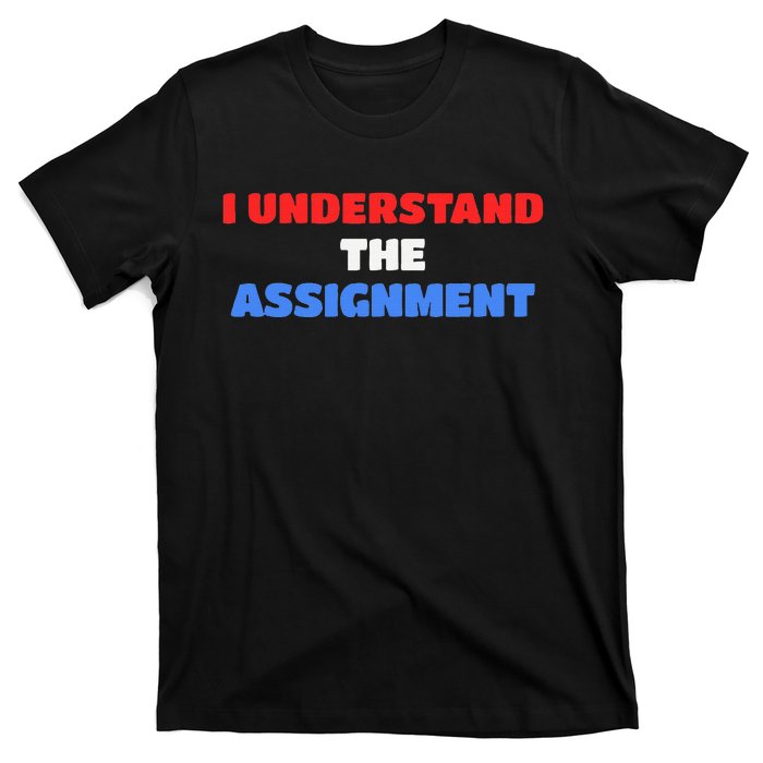 I Understand The Assignment Vote 2024 Democracy T-Shirt