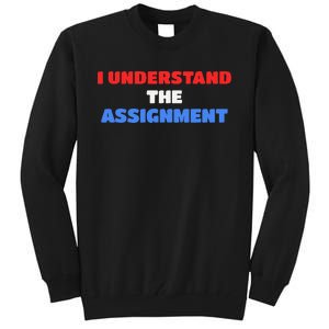 I Understand The Assignment Vote 2024 Democracy Tall Sweatshirt