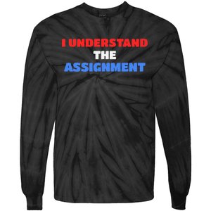 I Understand The Assignment Vote 2024 Democracy Tie-Dye Long Sleeve Shirt