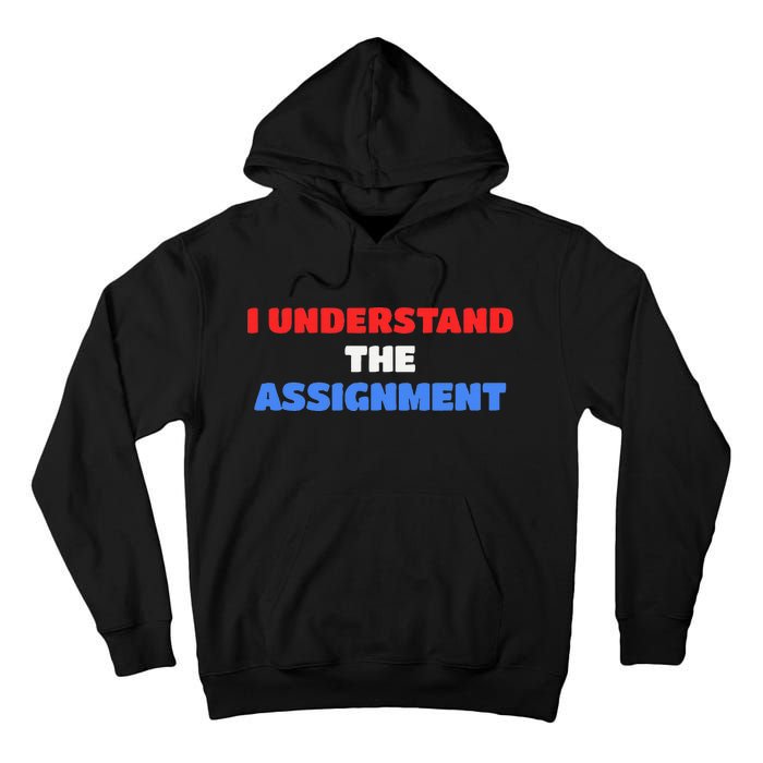 I Understand The Assignment Vote 2024 Democracy Tall Hoodie