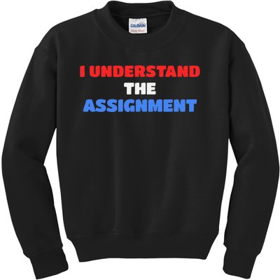 I Understand The Assignment Vote 2024 Democracy Kids Sweatshirt