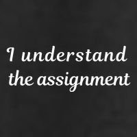 I Understand The Assignment Political Product For Activists Adult Drive Performance Visor