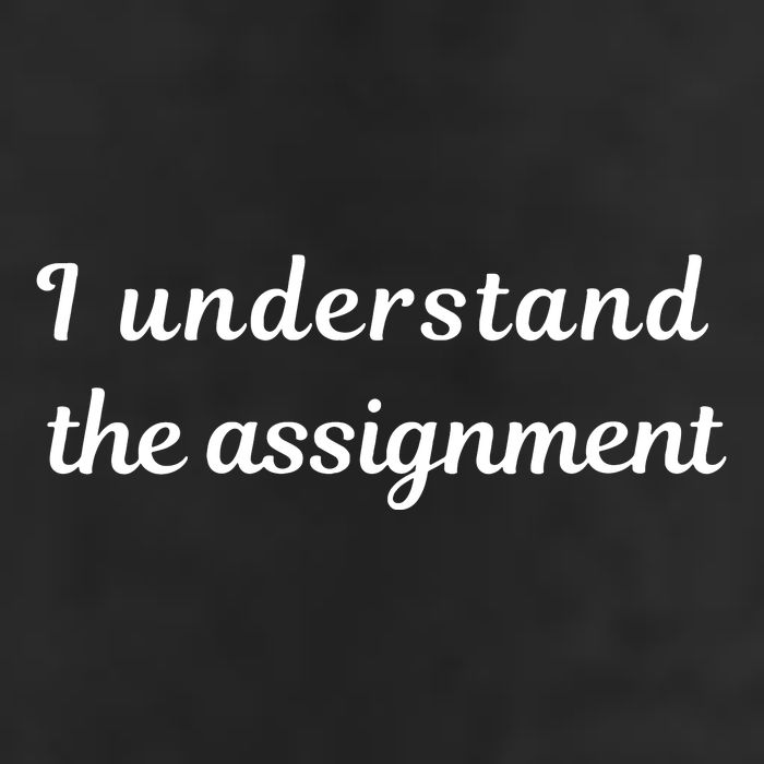 I Understand The Assignment Political Product For Activists Adult Drive Performance Visor