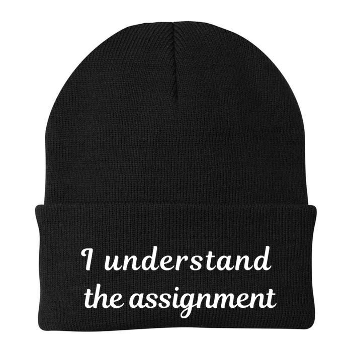 I Understand The Assignment Political Product For Activists Beanie
