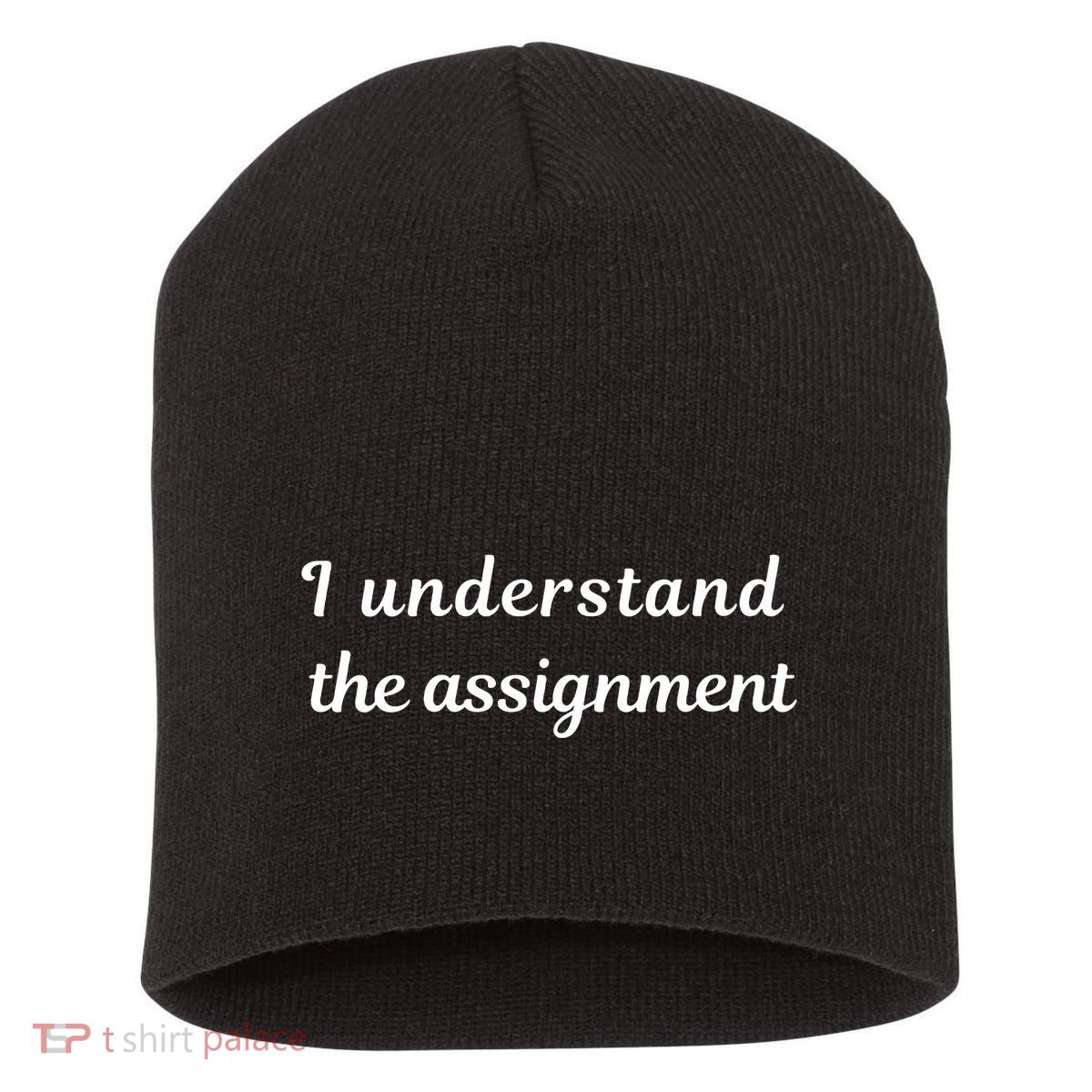I Understand The Assignment Political Product For Activists Short Acrylic Beanie