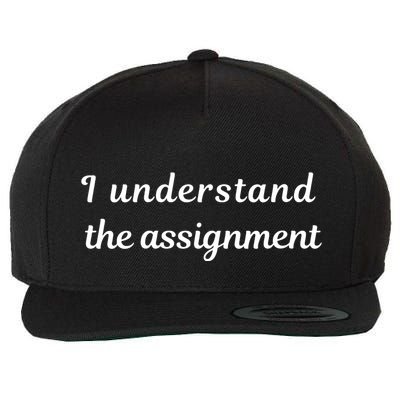 I Understand The Assignment Political Product For Activists Wool Snapback Cap