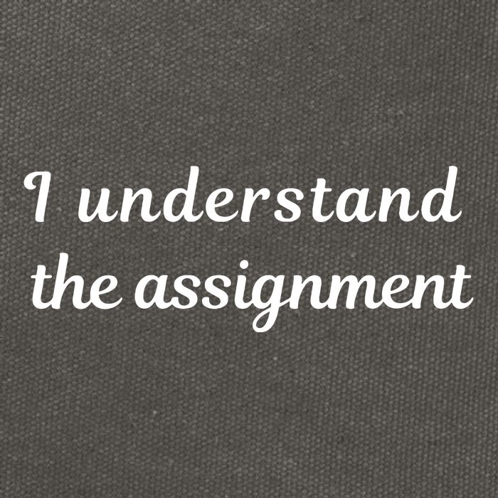 I Understand The Assignment Political Product For Activists Cotton Canvas Backpack