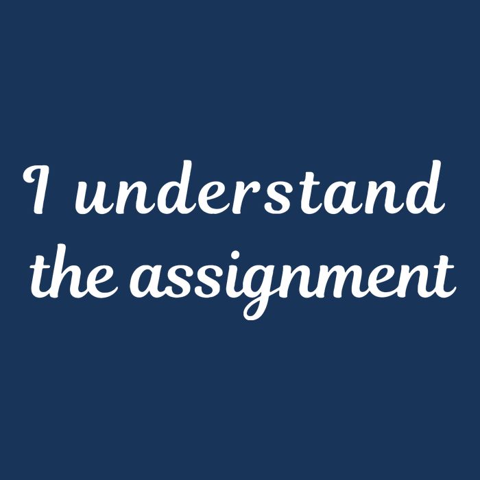 I Understand The Assignment Political Product For Activists Infant Baby Jersey Bodysuit