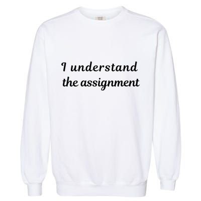 I Understand The Assignment Political Product For Activists Garment-Dyed Sweatshirt