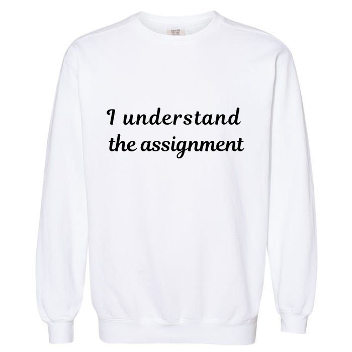 I Understand The Assignment Political Product For Activists Garment-Dyed Sweatshirt