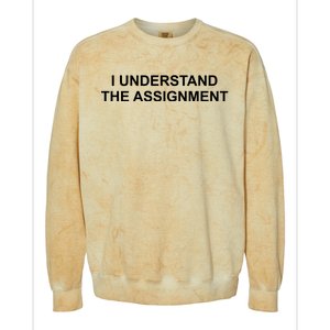 I Understand The Assignment Colorblast Crewneck Sweatshirt