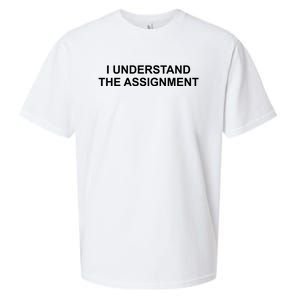 I Understand The Assignment Sueded Cloud Jersey T-Shirt