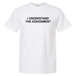 I Understand The Assignment Garment-Dyed Heavyweight T-Shirt