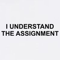 I Understand The Assignment Tall T-Shirt